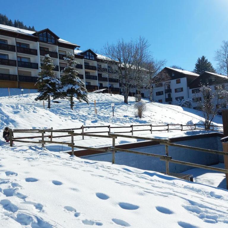 Alp-Juwel - mit Hallenbad und Sauna, 4 Schlafbereiche, Hallenbad, Sauna, inklusive Bettwäsche, Handtücher, tolle Kinderausstattung - Apartment mit 3 Schlafzimmern - 33