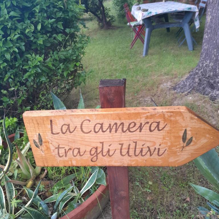 La Camera Tra Gli Ulivi Dream Finale - Camera Matrimoniale con Bagno Privato - 5