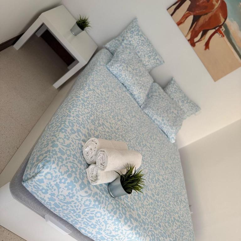 LUMINOSOS APARTAMENTOS POZUELO a 8 MINUTOS DE PALACIO REAL - Apartamento de 1 dormitorio - 4