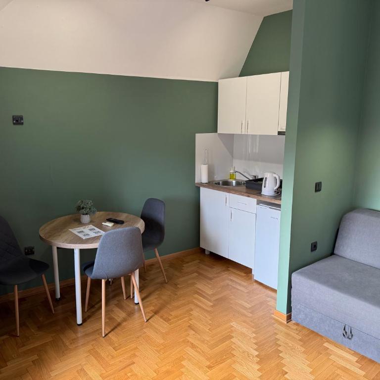 Aleksei Apartmani - Superior Apartman sa Pogledom na Grad - 32