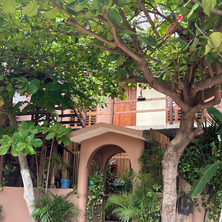 Casa Guiba 3 Puerto Escondido - Apartamento de 1 dormitorio - 2