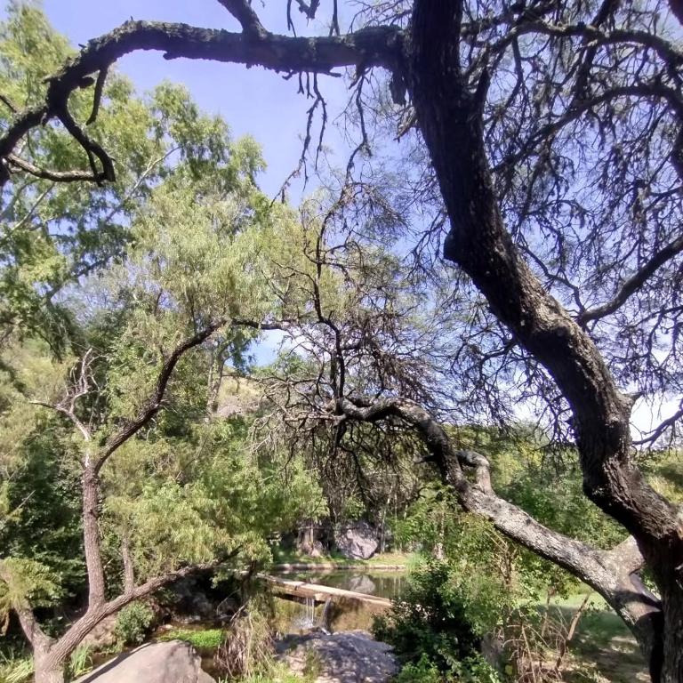Cabañas de montaña "Alquimia en Las Cascadas" - Bungalow de un dormitorio - 15