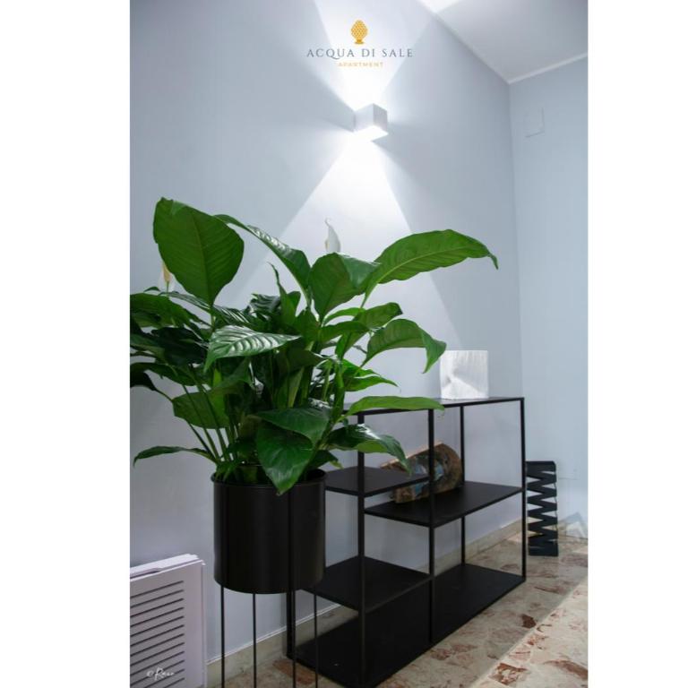 Acqua di Sale Apartment - Two-Bedroom Apartment - 15