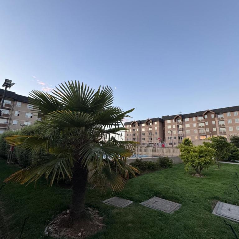 PARQUE AL VOLCAN VILLARRICA - Apartamento de 3 dormitorios - 2