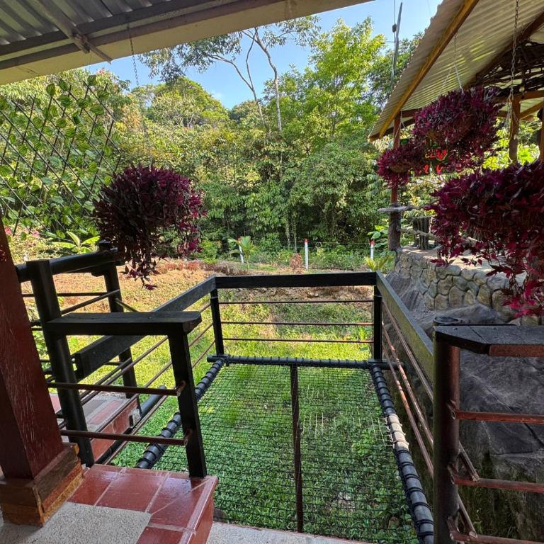 Descanso de mi Apá - Casa con 1 dormitorio - 3