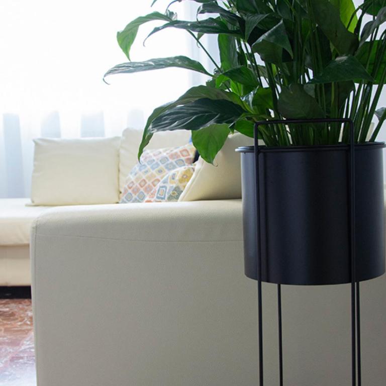 Acqua di Sale Apartment - Two-Bedroom Apartment - 16
