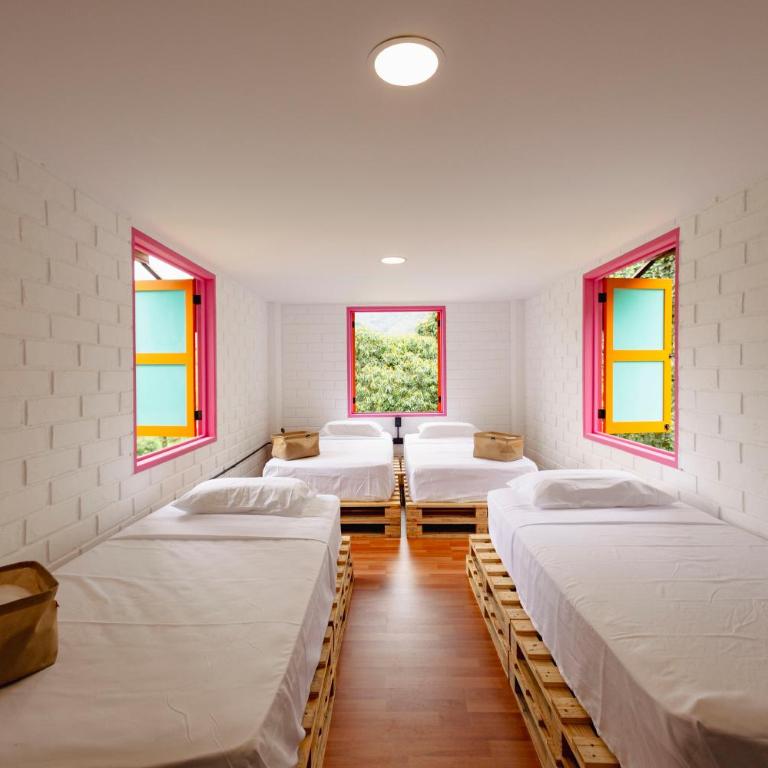 Isla de pascua - Jardín - Hostel - Habitación Doble con vistas - 2 camas - 3