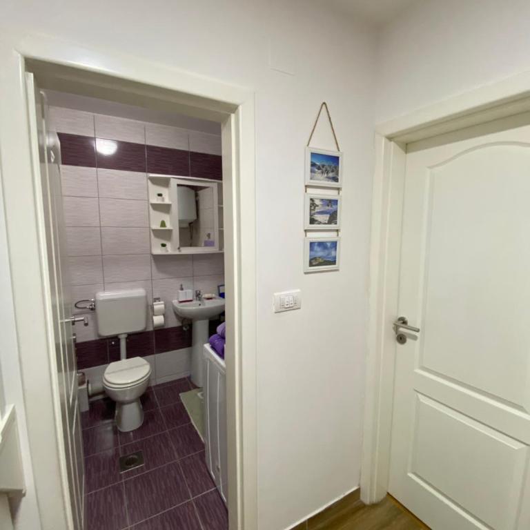 Apartment Central Pale Jahorina - One-Bedroom Apartment - 14