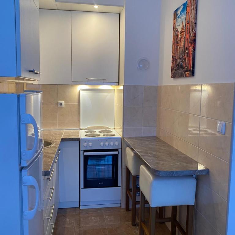 Apartment Central Pale Jahorina - One-Bedroom Apartment - 6