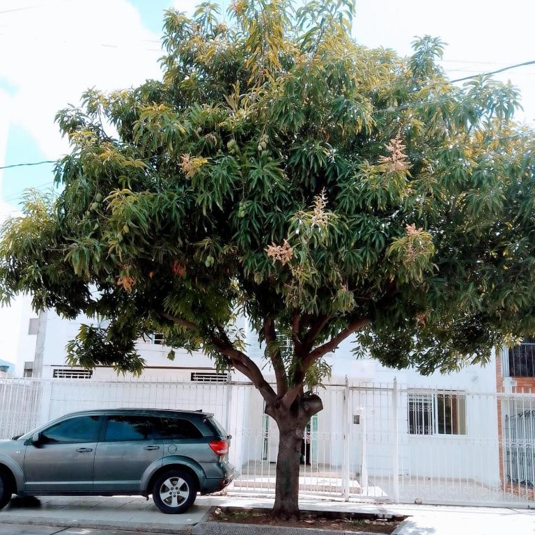Casa Rosales - Casa de 6 dormitorios - 1