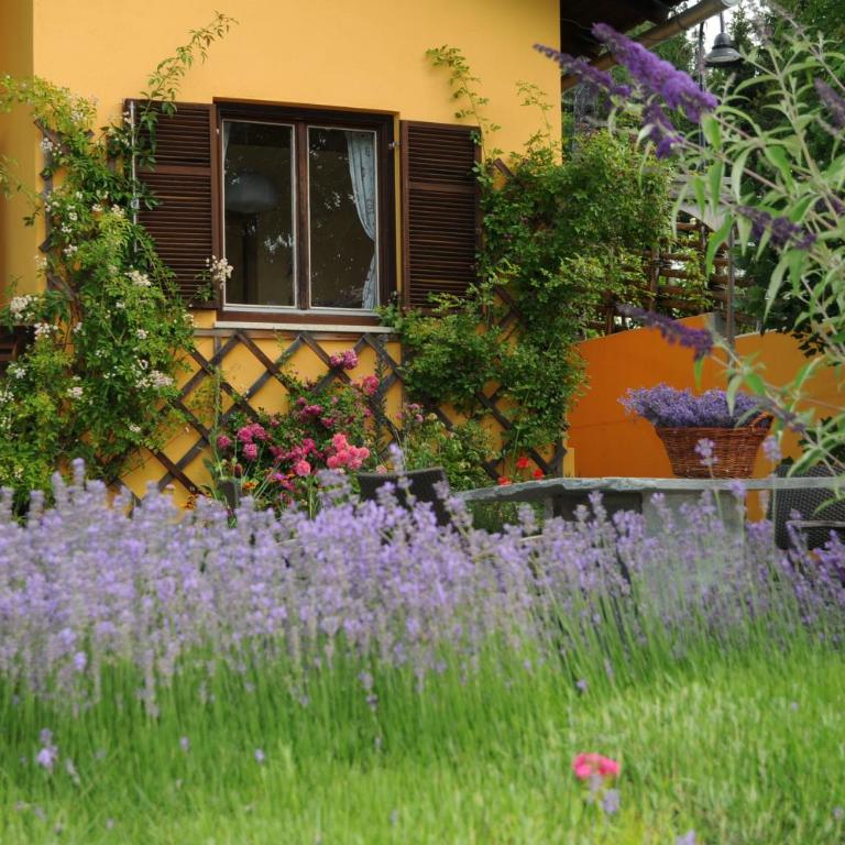 Sulamith Ferienhaus mit Garten - Ferienhaus mit Garten - 30