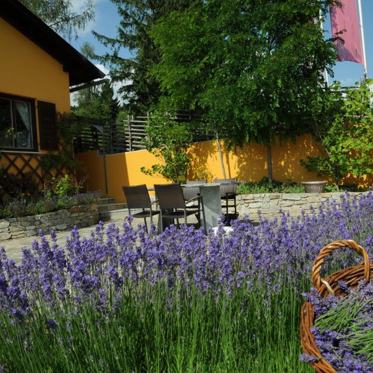 Sulamith Ferienhaus mit Garten - Ferienhaus mit Garten - 37