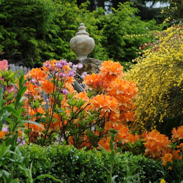 Sulamith Ferienhaus mit Garten - Ferienhaus mit Garten - 70