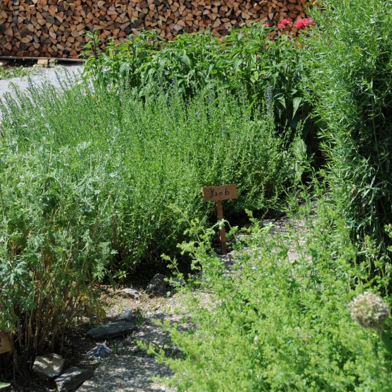 Sulamith Ferienhaus mit Garten - Ferienhaus mit Garten - 54
