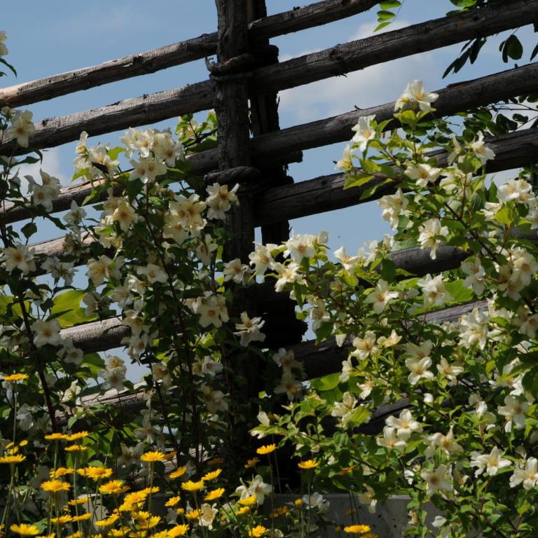 Sulamith Ferienhaus mit Garten - Ferienhaus mit Garten - 47