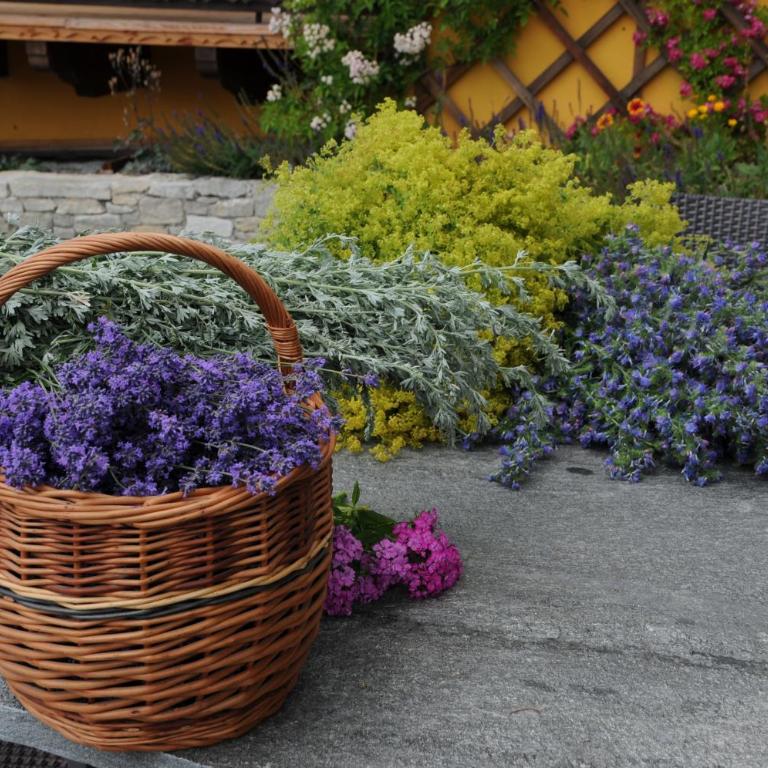 Sulamith Ferienhaus mit Garten - Ferienhaus mit Garten - 62