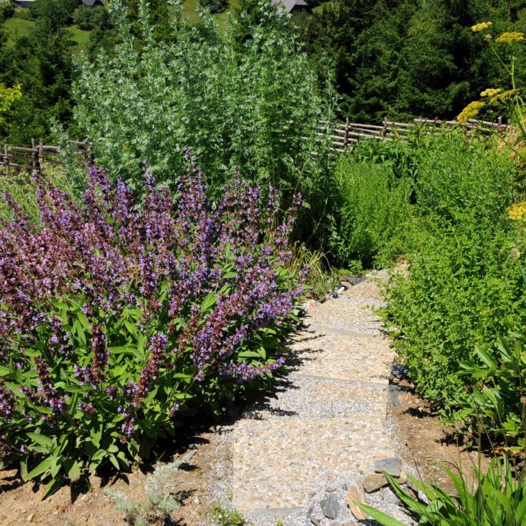 Sulamith Ferienhaus mit Garten - Ferienhaus mit Garten - 55
