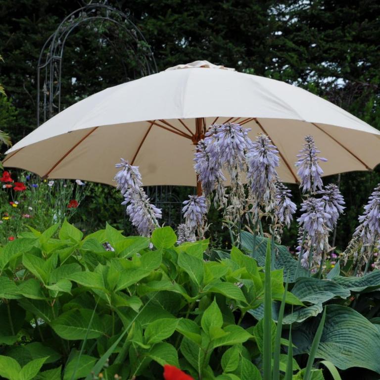 Sulamith Ferienhaus mit Garten - Ferienhaus mit Garten - 67