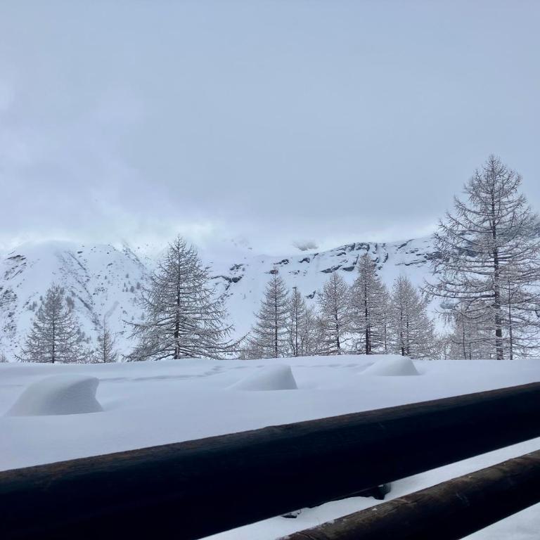 Cielo Alto 21 - Cervino Ski Paradise - Appartamento con 1 Camera da Letto - 19