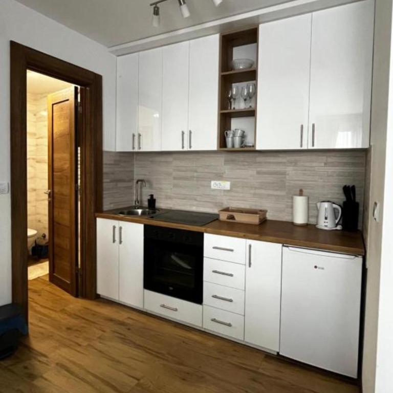 Apartmani Vojvodić Divčibare - Apartman sa 1 Spavaćom Sobom - 9