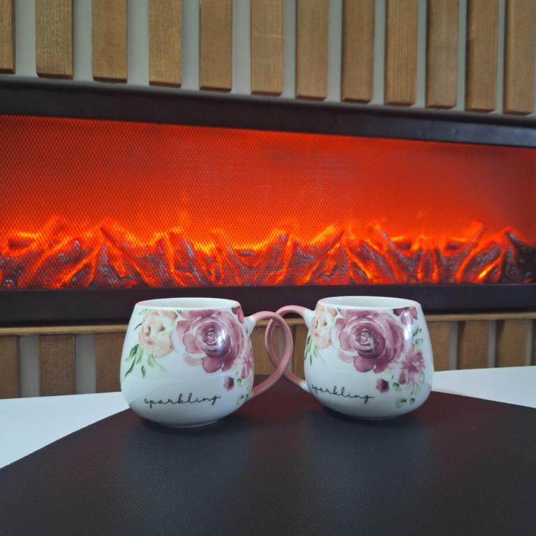 Apartman IKS-M & Spa - Apartman sa 1 Spavaćom Sobom - 9