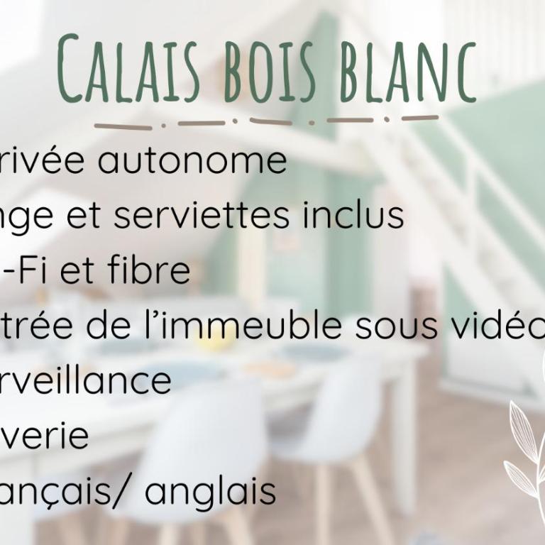 Calais BoisBlanc 4-6 personnes Centre Ville - Appartement 2 Chambres - 13