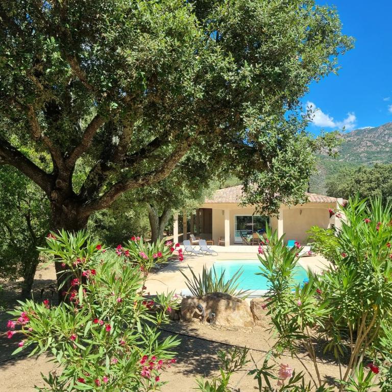 Villa Stellalilou - Villa mit privatem Pool - 1