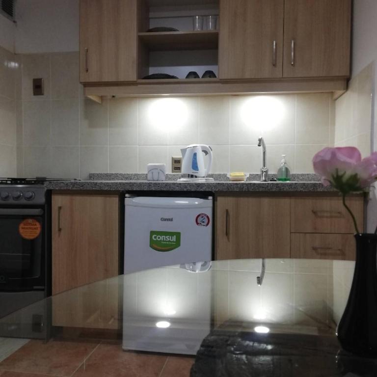 Garzonier independent with opcional parking - One-Bedroom Apartment - 7