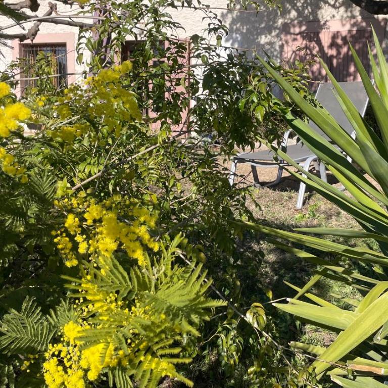 Large private garden, quiet 2-bedroom apartment, air conditioning, wifi, parking - Appartement - 31