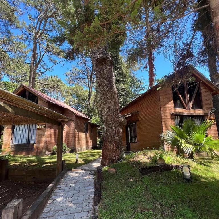 Cabañas Das Dorf - Bungalow (4 adultos) - 1