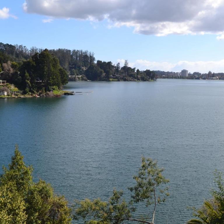 Amazing Scenic View Concepcion Hidden Gem - Casa de 3 dormitorios - 11