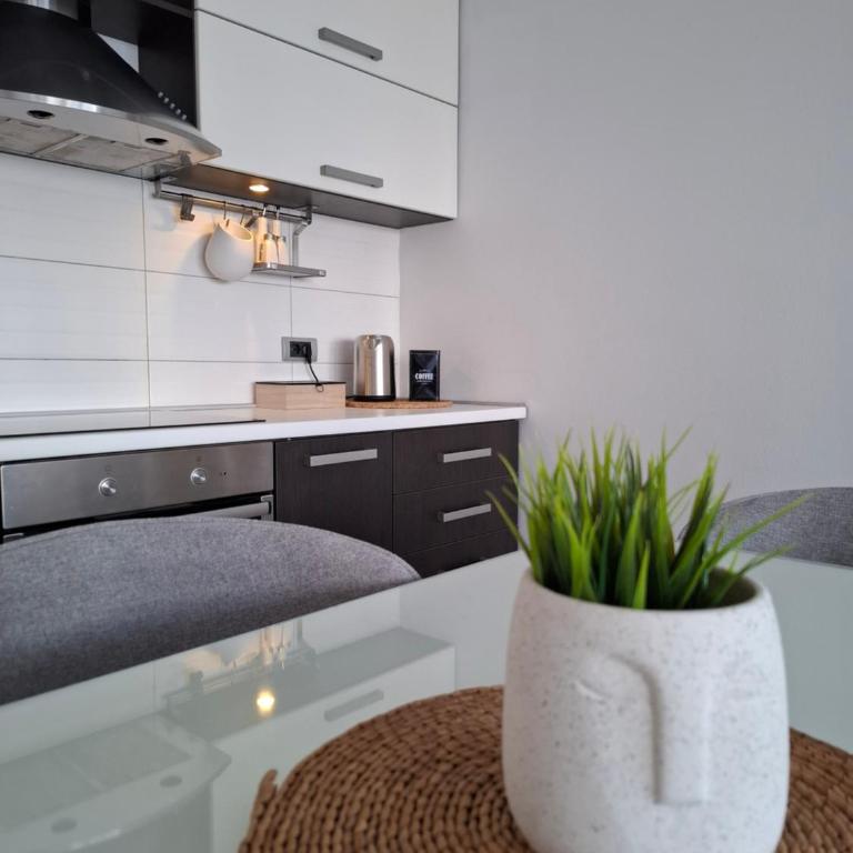 Apartman MAX sa privatnim parkingom - Apartman sa 2 Spavaće Sobe - 5