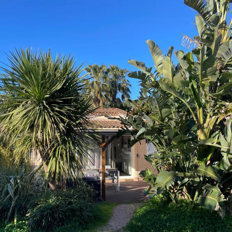 Les deux mas - Maison 2 Chambres - 2