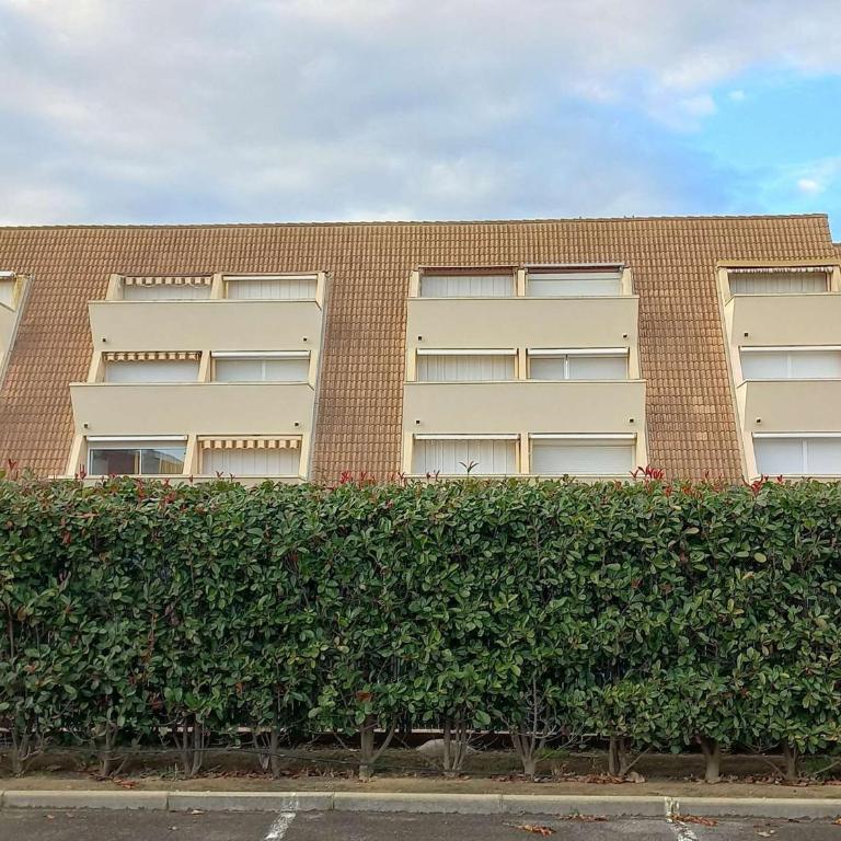 Appartement avec piscine, plage à proximité, animaux et parking, climatisation - FR-1-387-212 - Appartement - 14