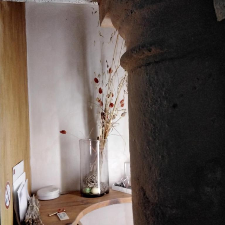 Logis 8 St Front gite urbain Périgueux - Appartement - Rez-de-Chaussée - 33