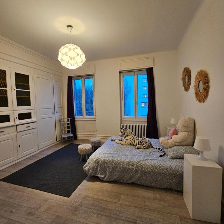 Maison de Maitre à Koenigshoffen - Villa - 12