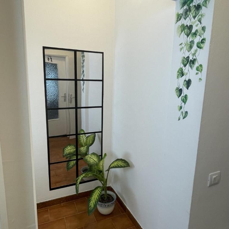 Appartamento Calma - Appartamento con 2 Camere da Letto - 10