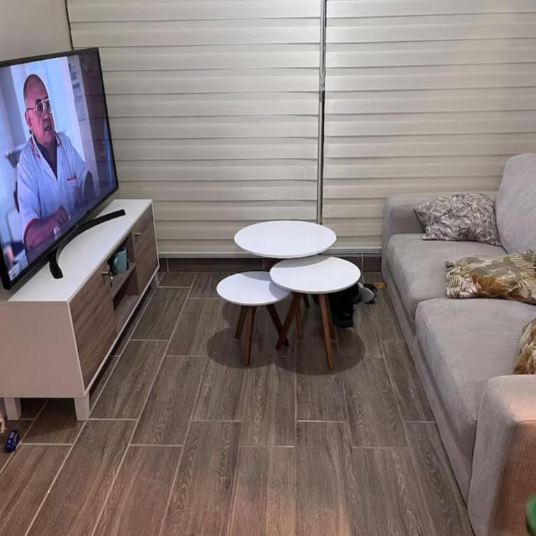 Apartamento en arriendo diario, Valle volcanes, Pto Montt - Two-Bedroom Apartment - 1