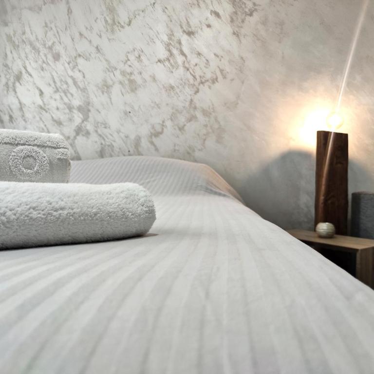 Open-space Apartment in the city center - One-Bedroom Apartment - 1