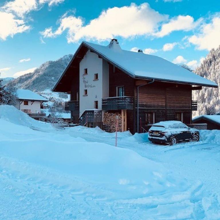Chalet à Châtel 6 chambres, 12 pers. - FR-1-676-3 - Apartment - 16