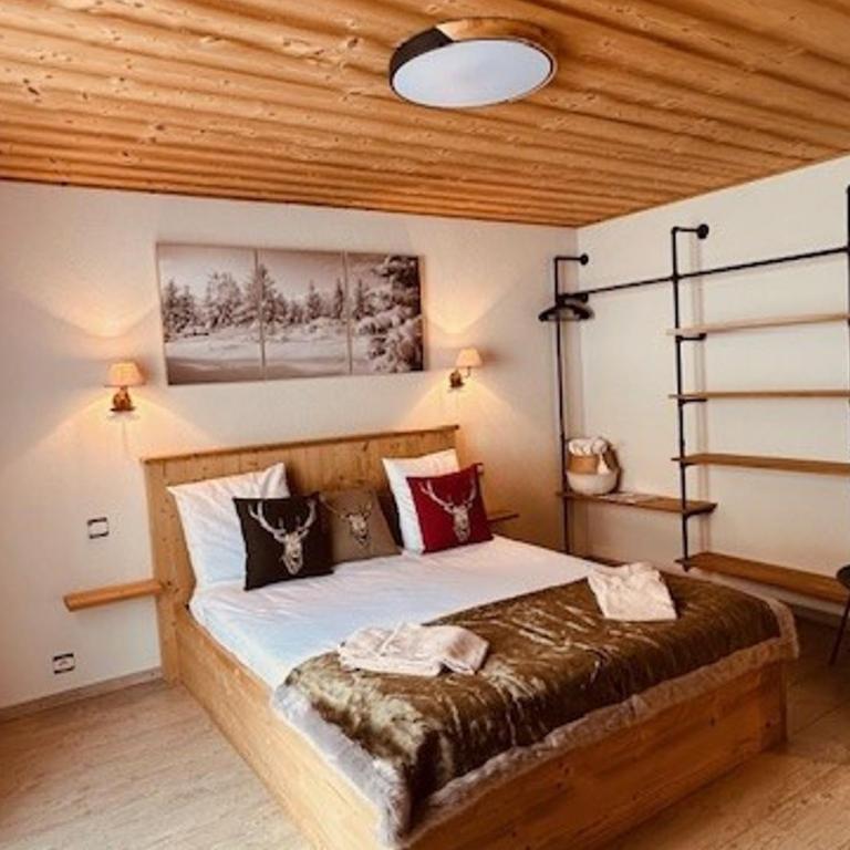 Chalet à Châtel 6 chambres, 12 pers. - FR-1-676-3 - Apartment - 22