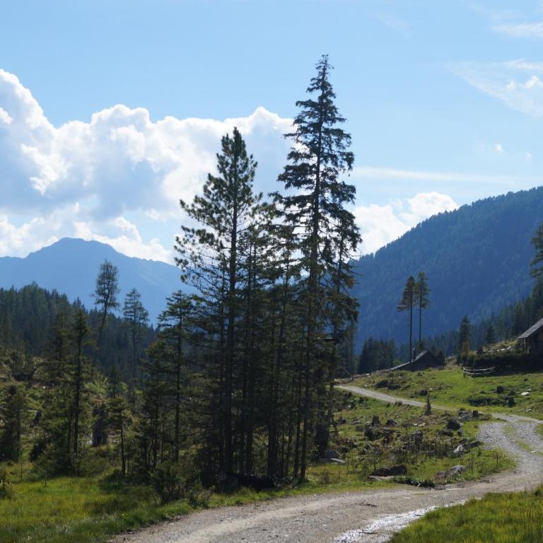 Platzerhütte - Chalet mit 3 Schlafzimmern - 32