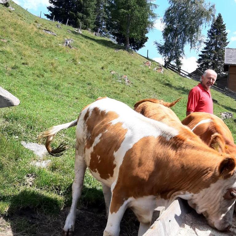 Platzerhütte - Chalet mit 3 Schlafzimmern - 46