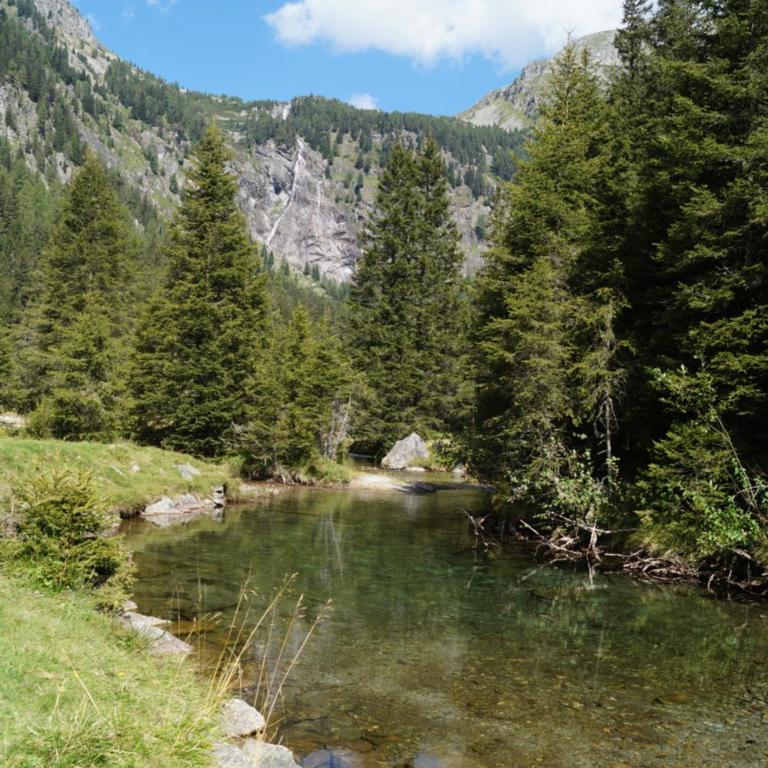 Platzerhütte - Chalet mit 3 Schlafzimmern - 39