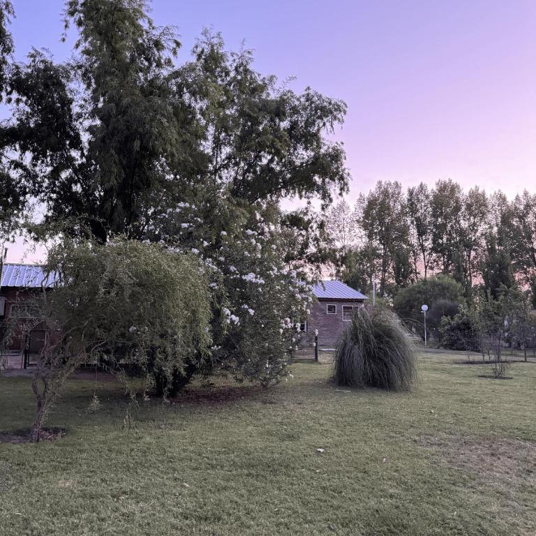 Los Perales - One-Bedroom Apartment - 3