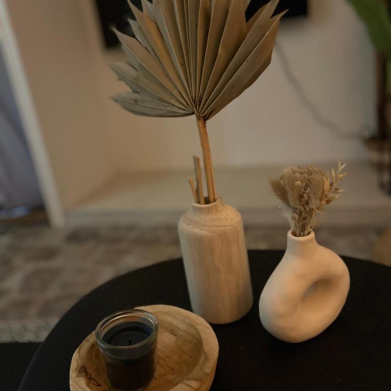 Gîte 4 étoiles - Sauna & Balnéo jacuzzi privatifs - Apartamento de 1 dormitorio - 19