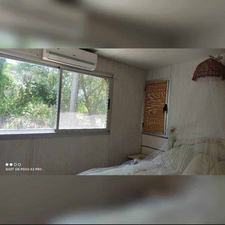 Casa Flotante Nenufar - Casa con 1 dormitorio - 22