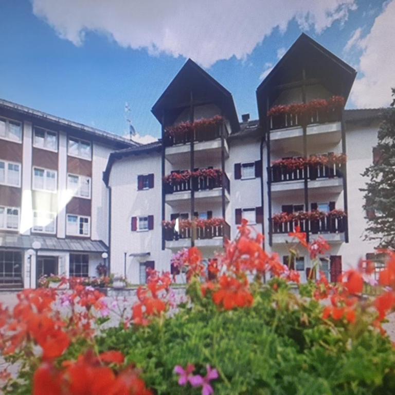 Santa Cristina SudTirol SassLong Flat - Appartamento con 1 Camera da Letto - 1