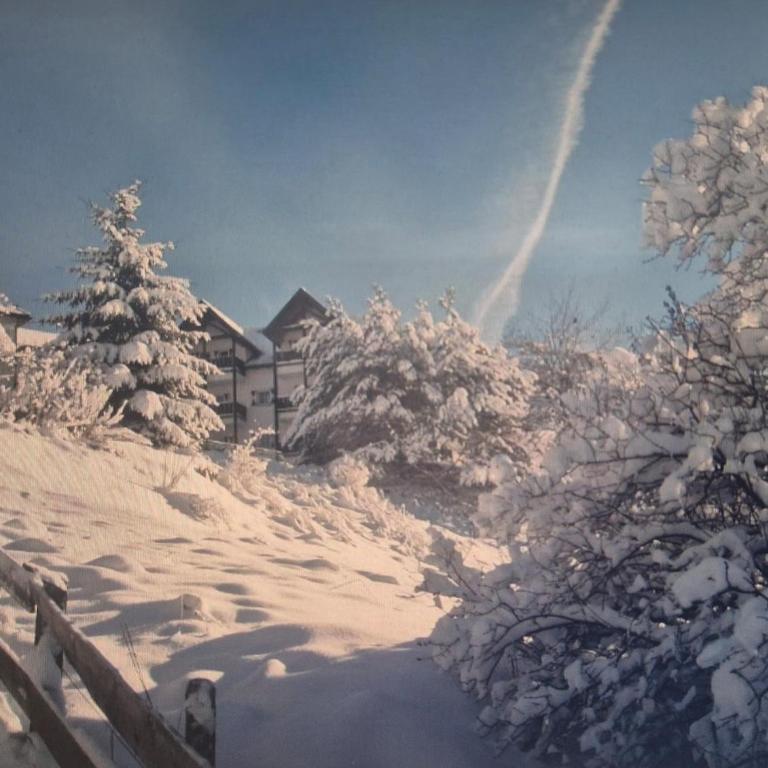 Santa Cristina SudTirol SassLong Flat - Appartamento con 1 Camera da Letto - 10