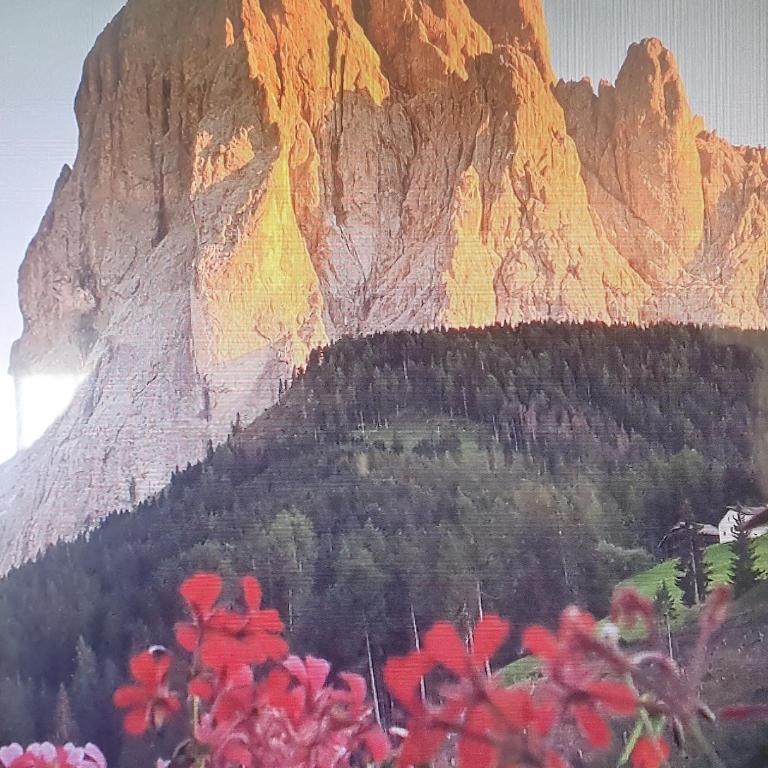 Santa Cristina SudTirol SassLong Flat - Appartamento con 1 Camera da Letto - 16